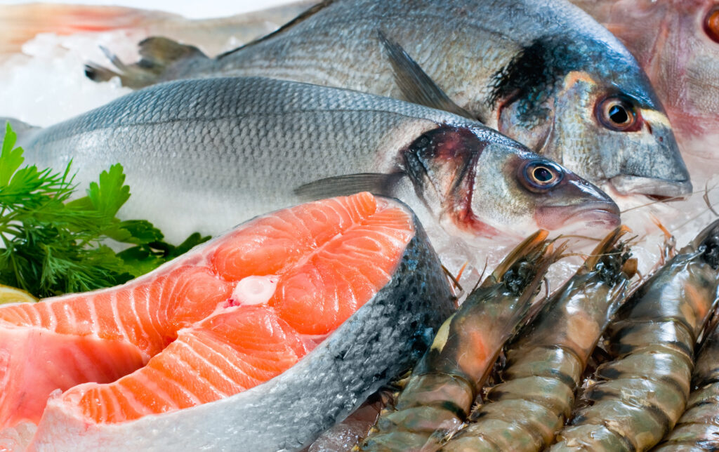 Background-fond poisson-2560-1610